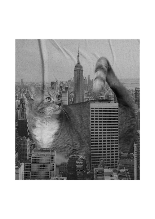 Frens and the City Custom T-shirt