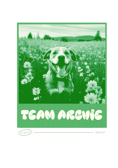 Team Frens Custom T-shirt
